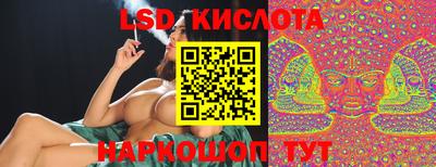 тгк Новозыбков