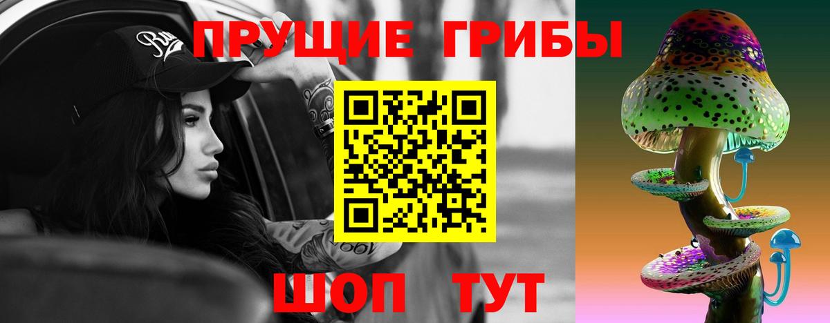 Тулун  Псилоцибиновые грибы мухоморы  Вход с VPN 